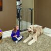 Graphite Glow in the Dark Steel Pet Gate 39″ – 99.06 cm Price in Doha Qatar - Image 2