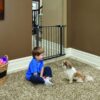 Graphite Glow in the Dark Steel Pet Gate 39″ – 99.06 cm Price in Doha Qatar - Image 6